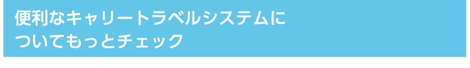 便利なキャリートラベルシステムについてもっとチェック